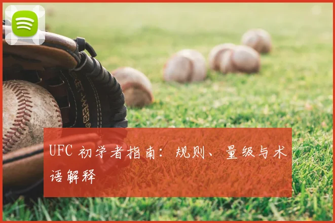 UFC 初学者指南:规则、量级与术语解释