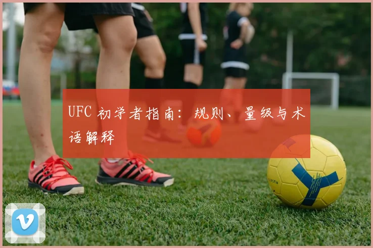UFC 初学者指南:规则、量级与术语解释